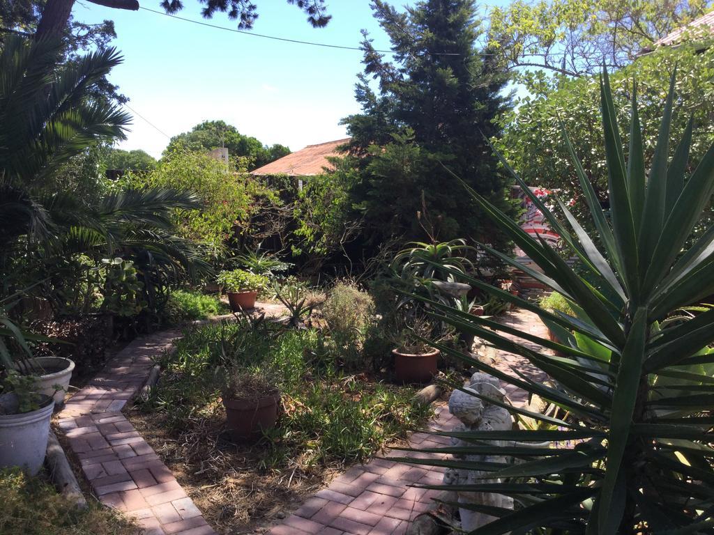 The Buddha Garden Cape Town Exterior photo